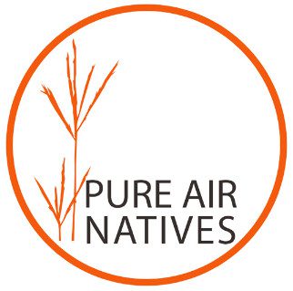 Pure Air Natives Seed Company St Louis 