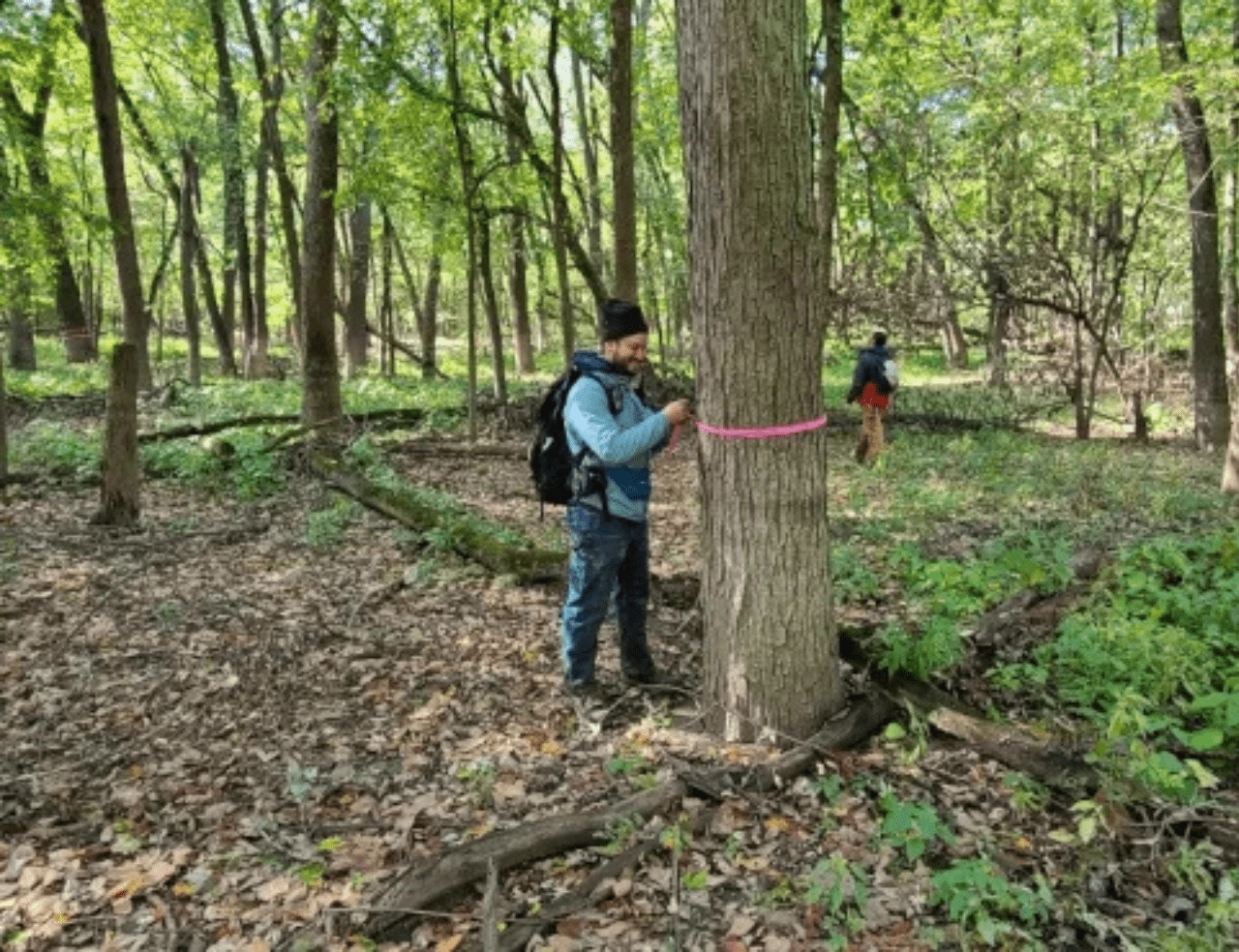 Analytical Forestry (1)