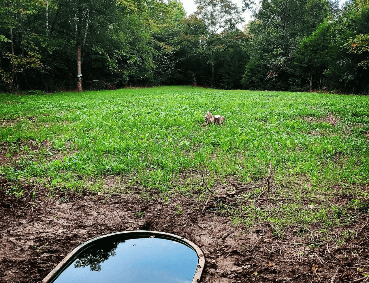 Finished Food Plot Installation