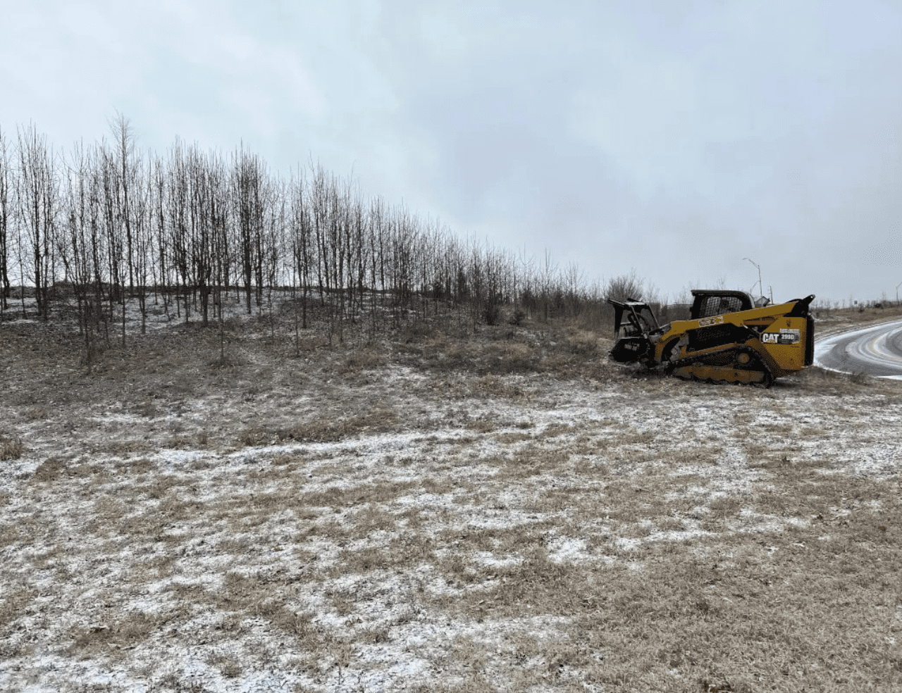 Invasive Species Control