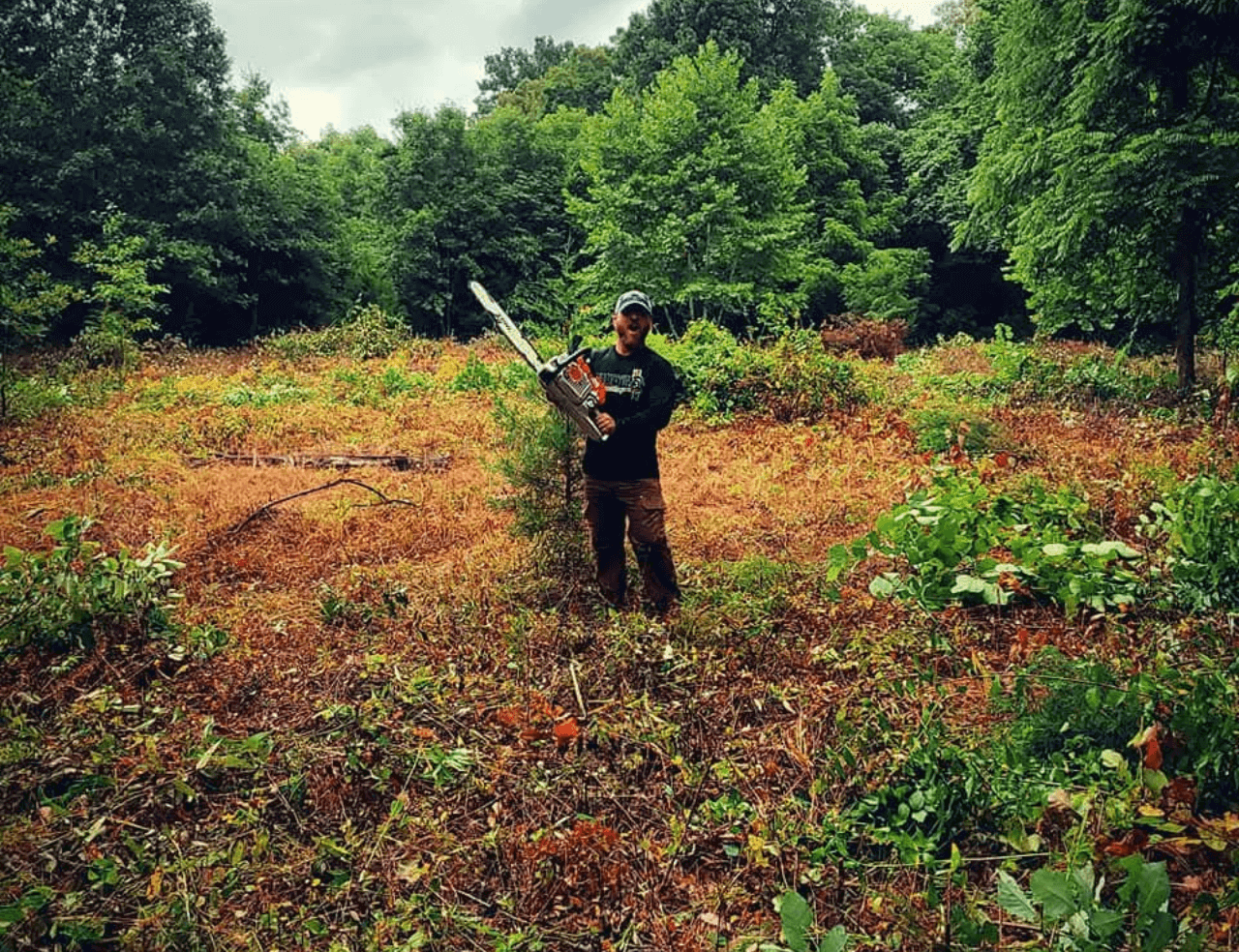 Land Clearing and Site Preparation