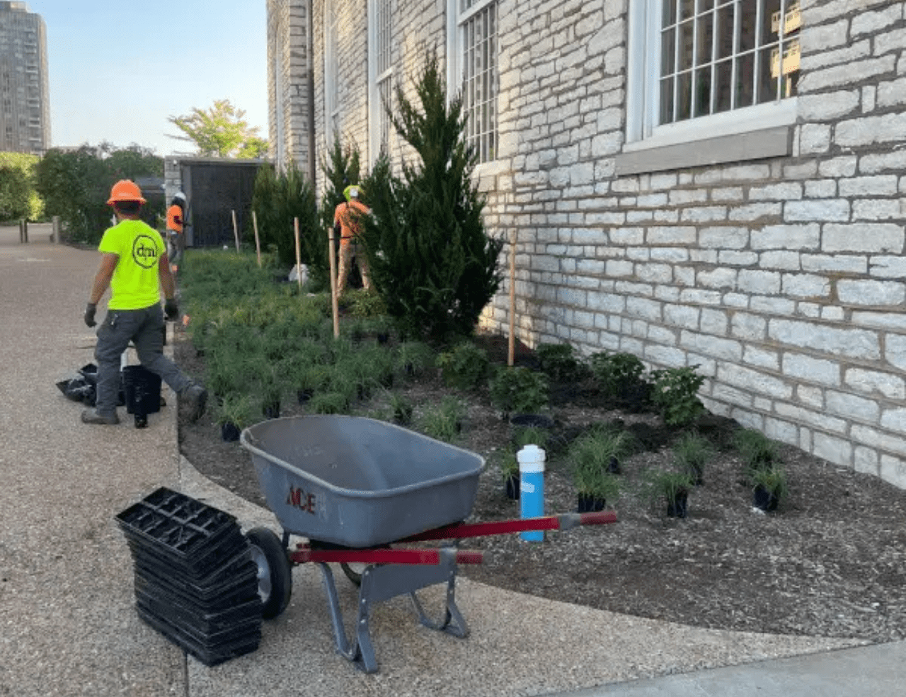 Native Plant Installation