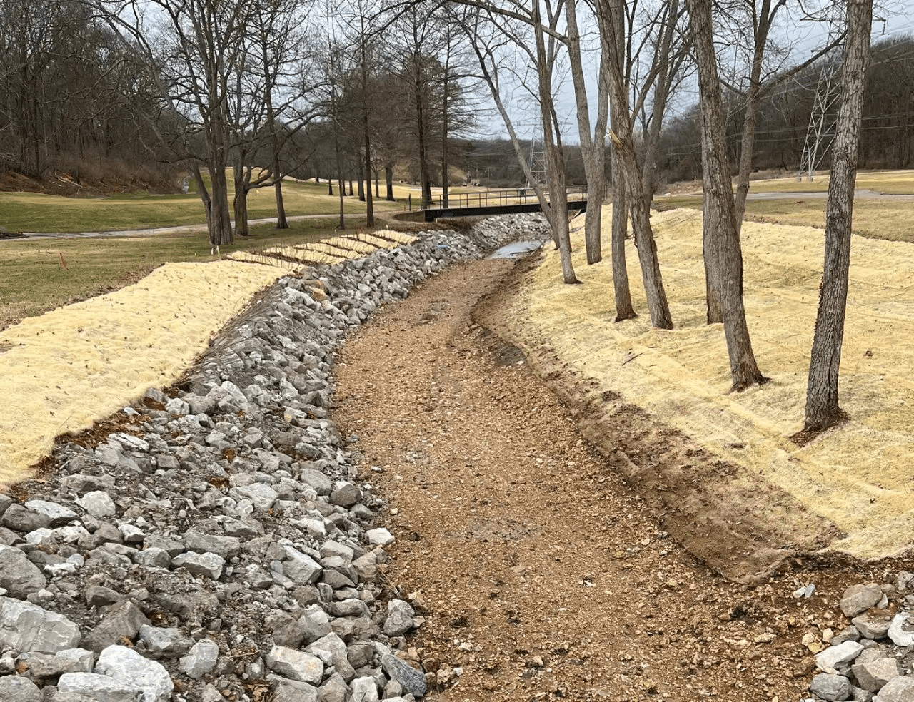 Streambank & Wetland Restoration