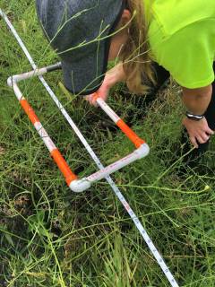 Roadside Pollinator Project